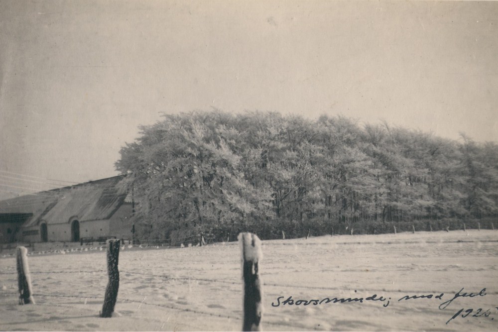 Skovsminde 1925