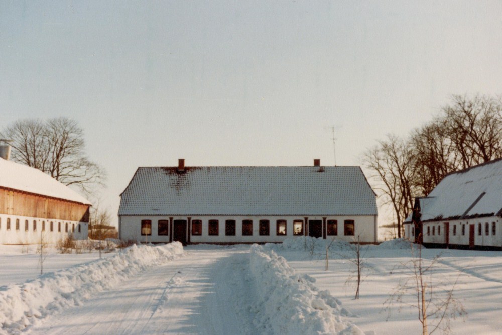 Skovsminde 1980