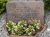 Henry Knudsen Straarup 1930-2003 og Emma K. Hansen 1931-2004.