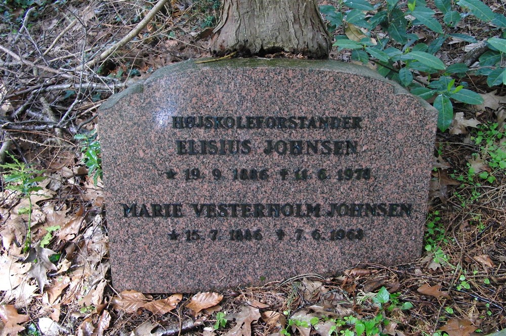 Elisius Johnsen 1886-1978 og Kirsten Marie Vesterholm Gravesen 1886-1968.