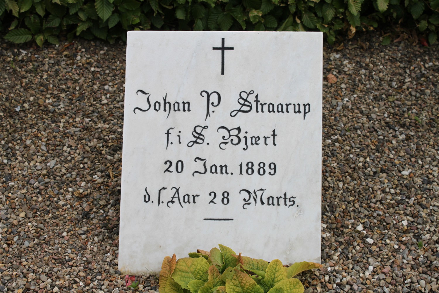Johan Petersen Straarup 1889-1889.