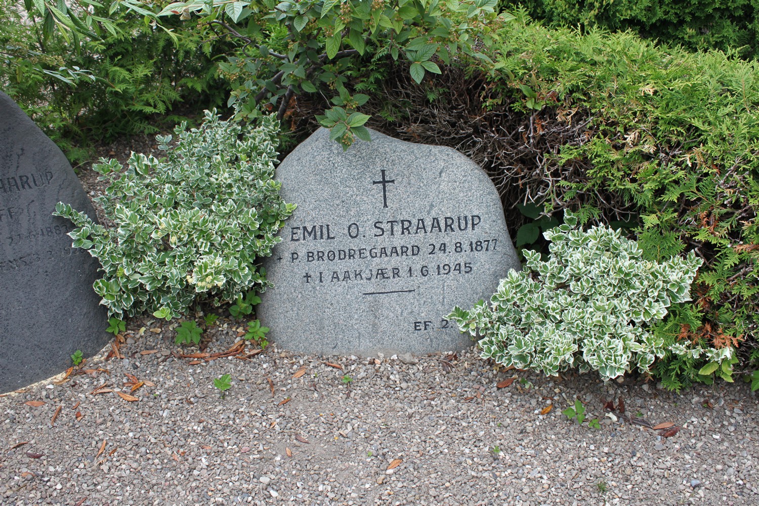 Marius Emil Olesen Fallesen Straarup 1877-1945.