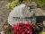 Peter Langhoff 1944-1994.