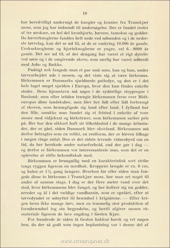 Side 010.jpg