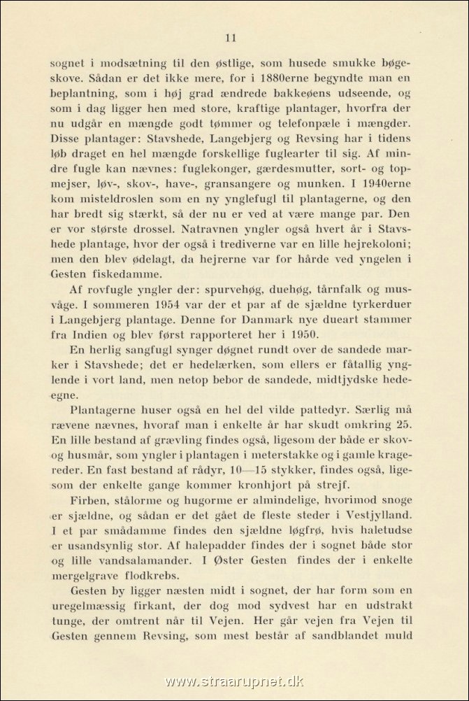 Side 011.jpg