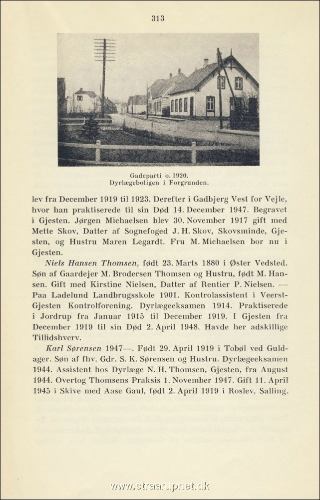 Side 313.jpg