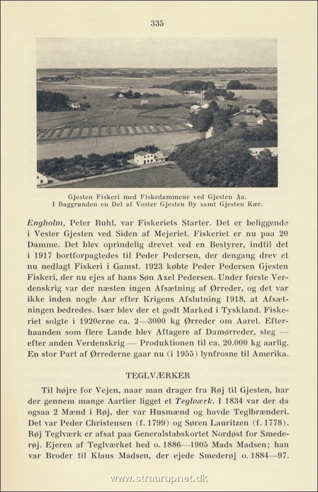 Side 335.jpg