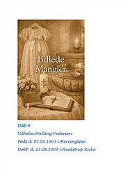D04 - Vilhelm Malling Pedersen.jpg