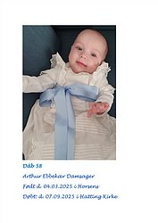 D58 - Arthur Ebbekær Damsager.jpg