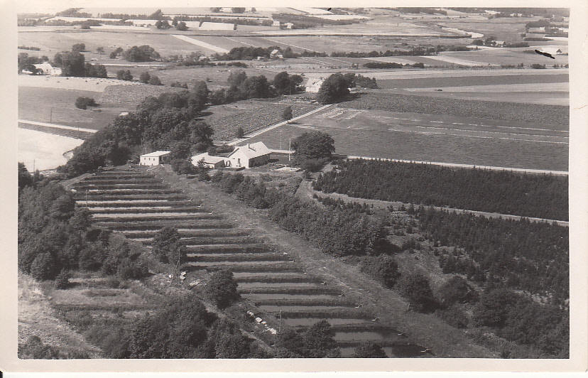 Ivan Skovgaard Pedersens dambrug, Resenbro ved Silkeborg.
Han havde den fra ca. 1945 til 1972.